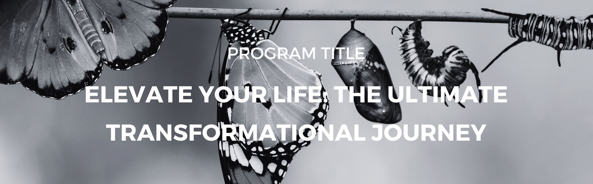 Elevate Your Life The Ultimate Transformational Journey