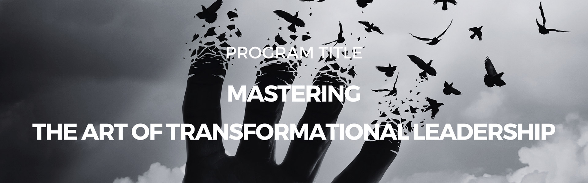 Leadership Evolution Accelerator Mastering the Art of Transformational Leadership