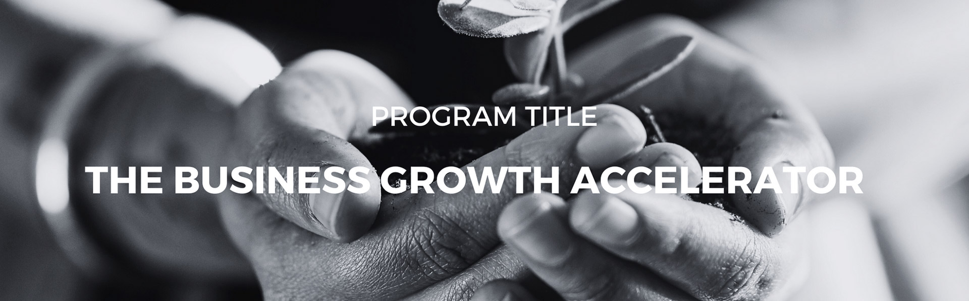 The Business Growth Accelerator