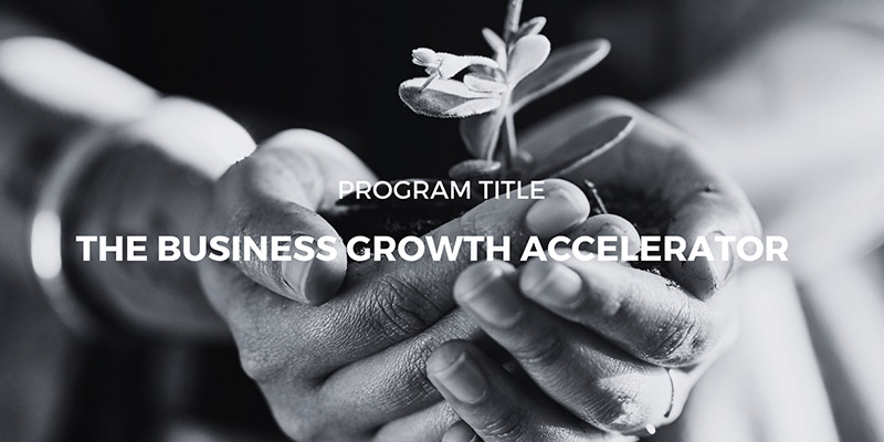 The Business Growth Accelerator