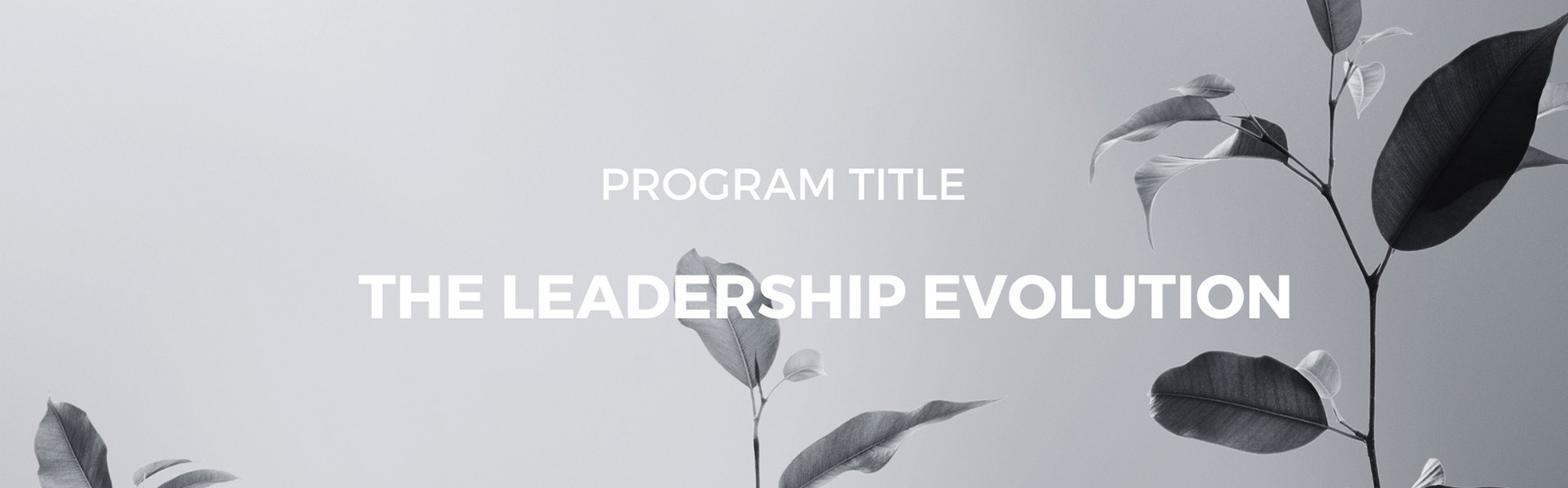 The Leadership Evolution