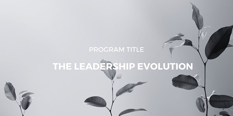 The Leadership Evolution